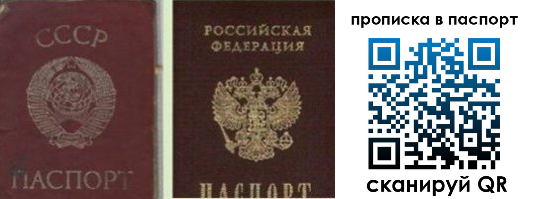 временная регистрация недорого в Заинске